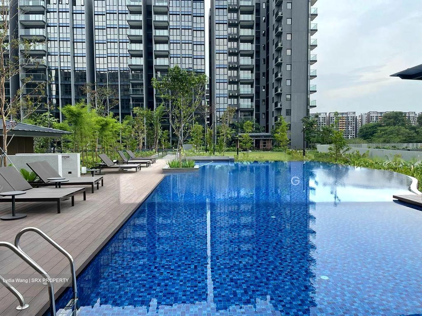 Normanton Park (D5), Apartment #501878741